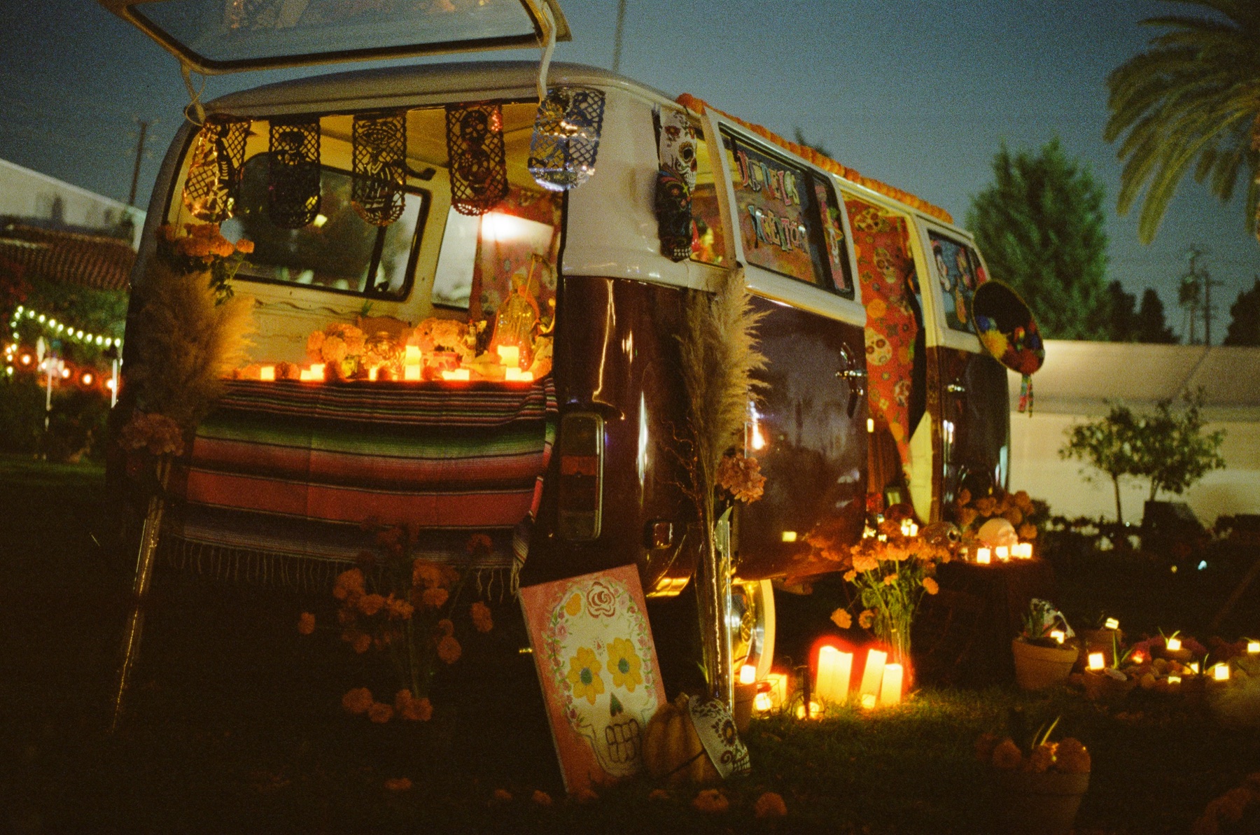Film photograph on CineStill 800 by Marcy Facundo-Moya