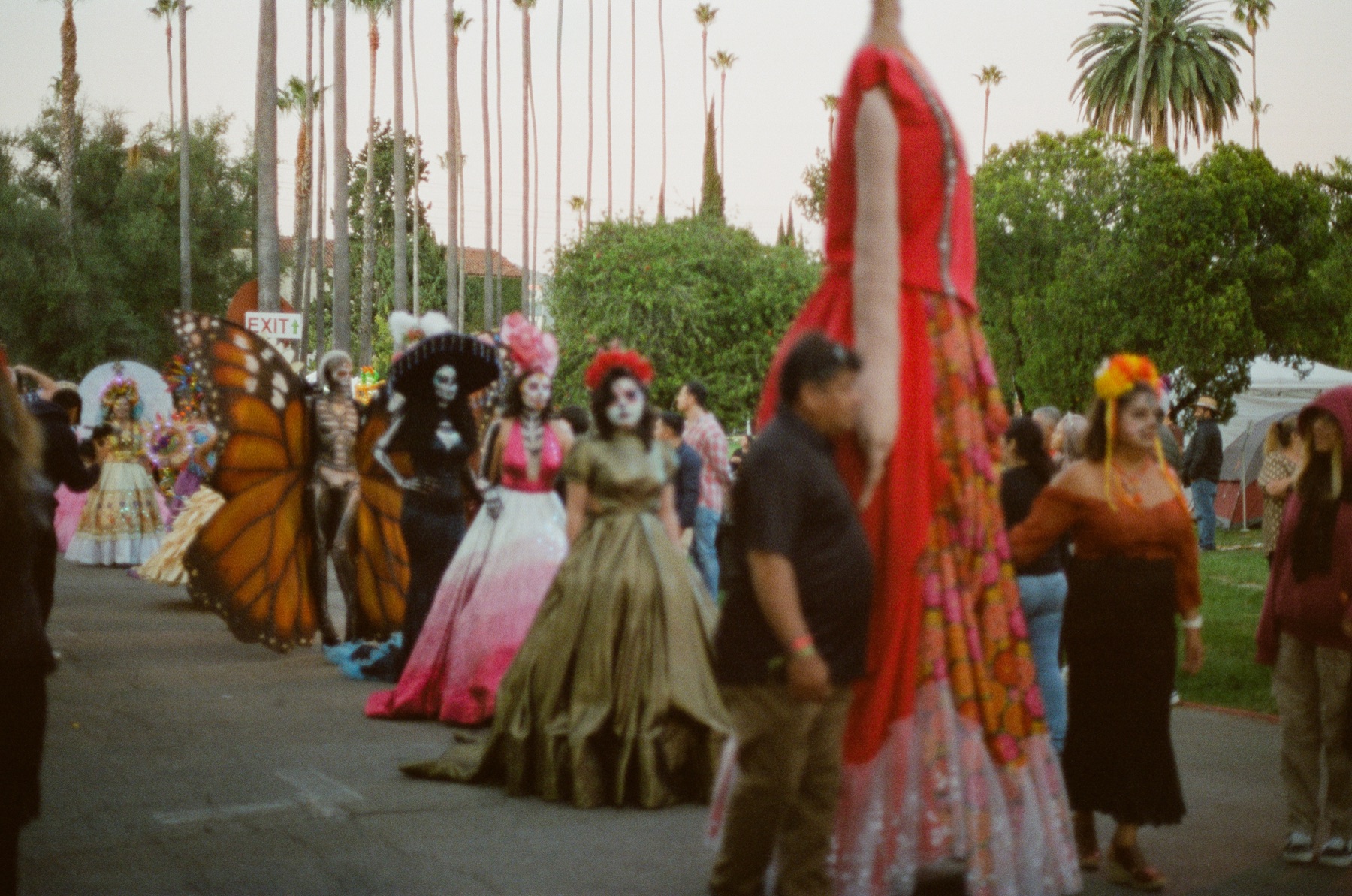 Film photograph on CineStill 800 by Marcy Facundo-Moya