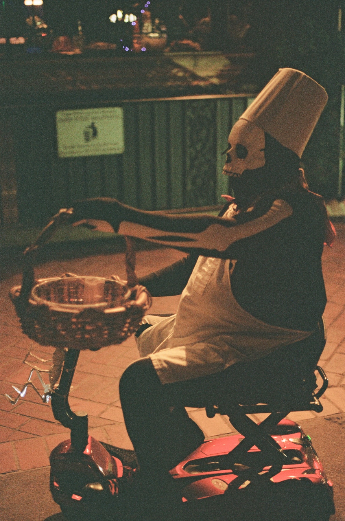 Film photograph on Kodak Portra 800 by Marcy Facundo-Moya