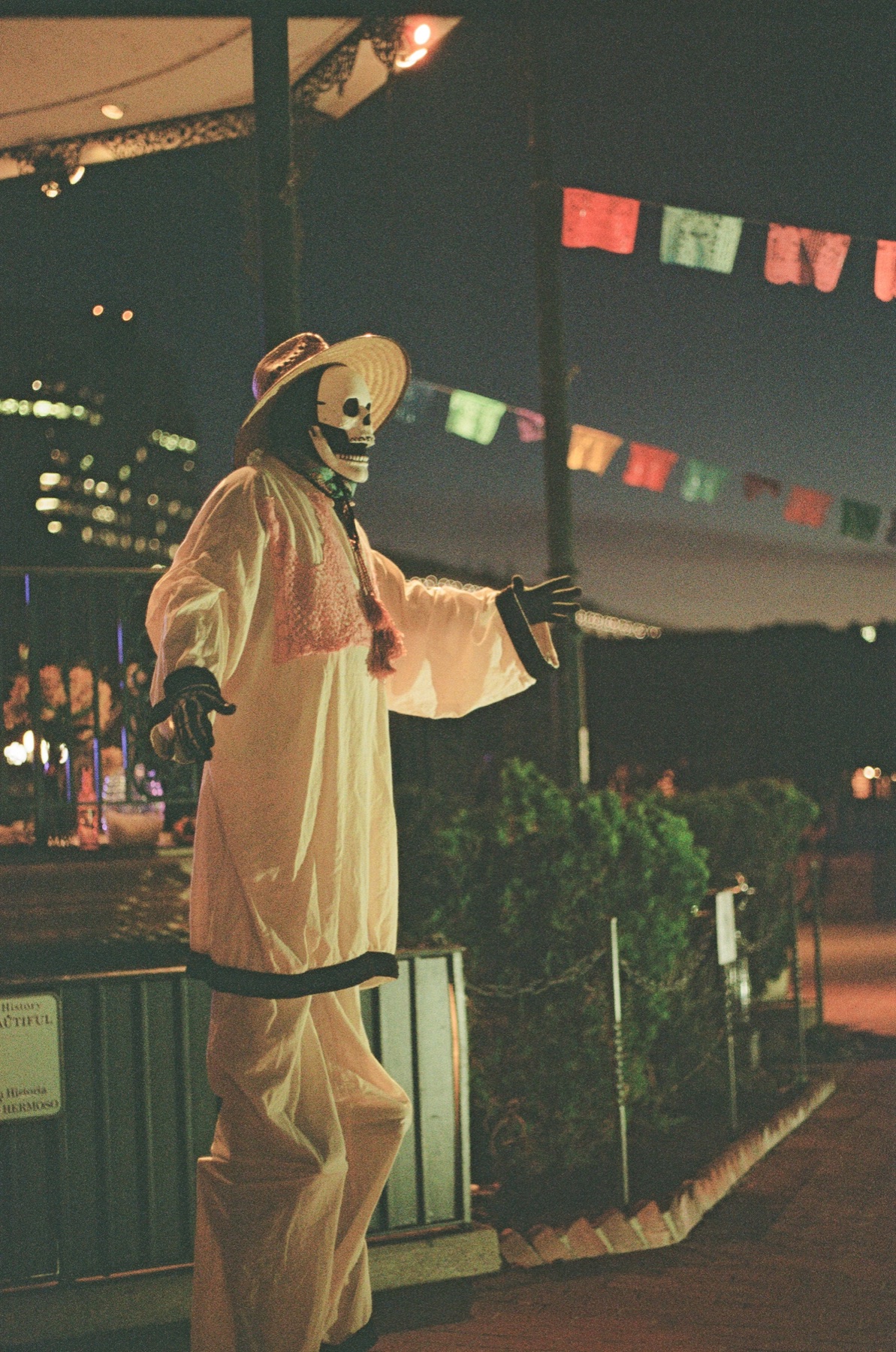 Film photograph on Kodak Portra 800 by Marcy Facundo-Moya