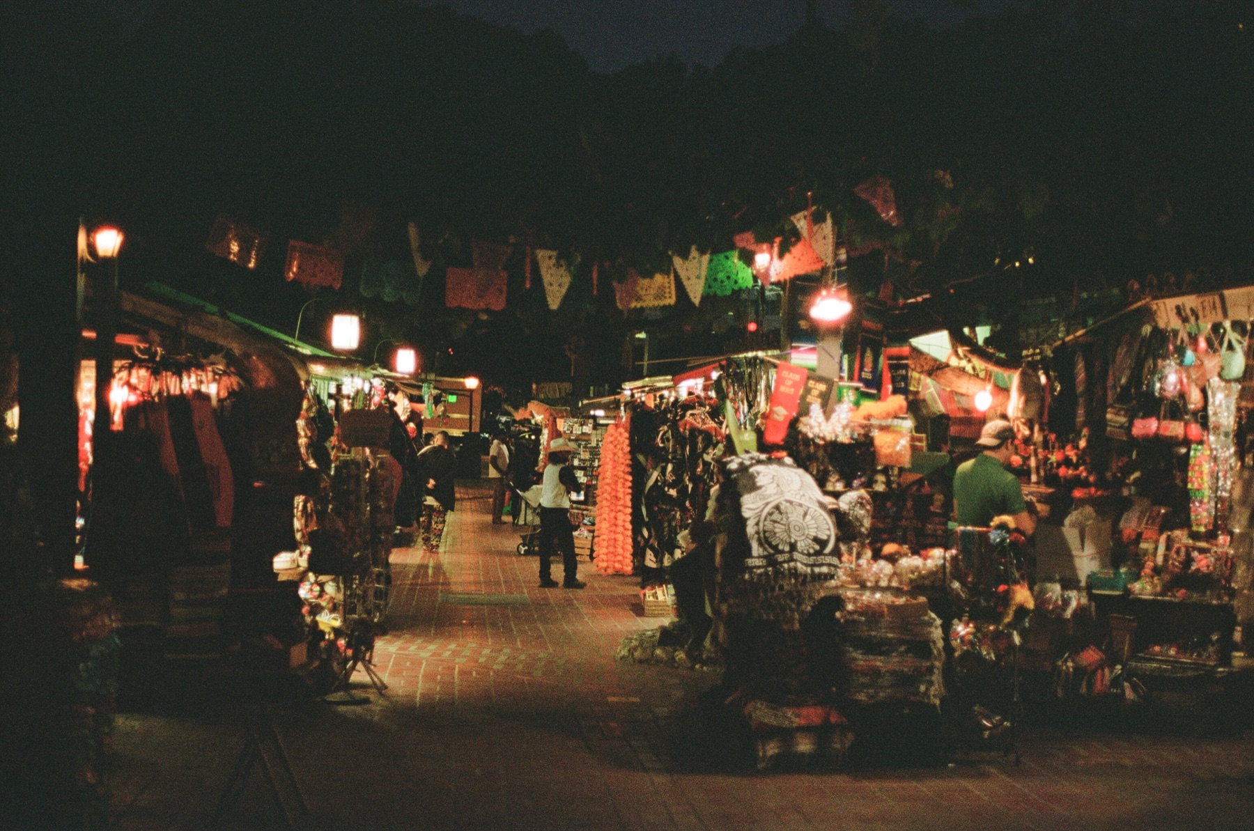 Film photograph on Kodak Portra 800 by Marcy Facundo-Moya