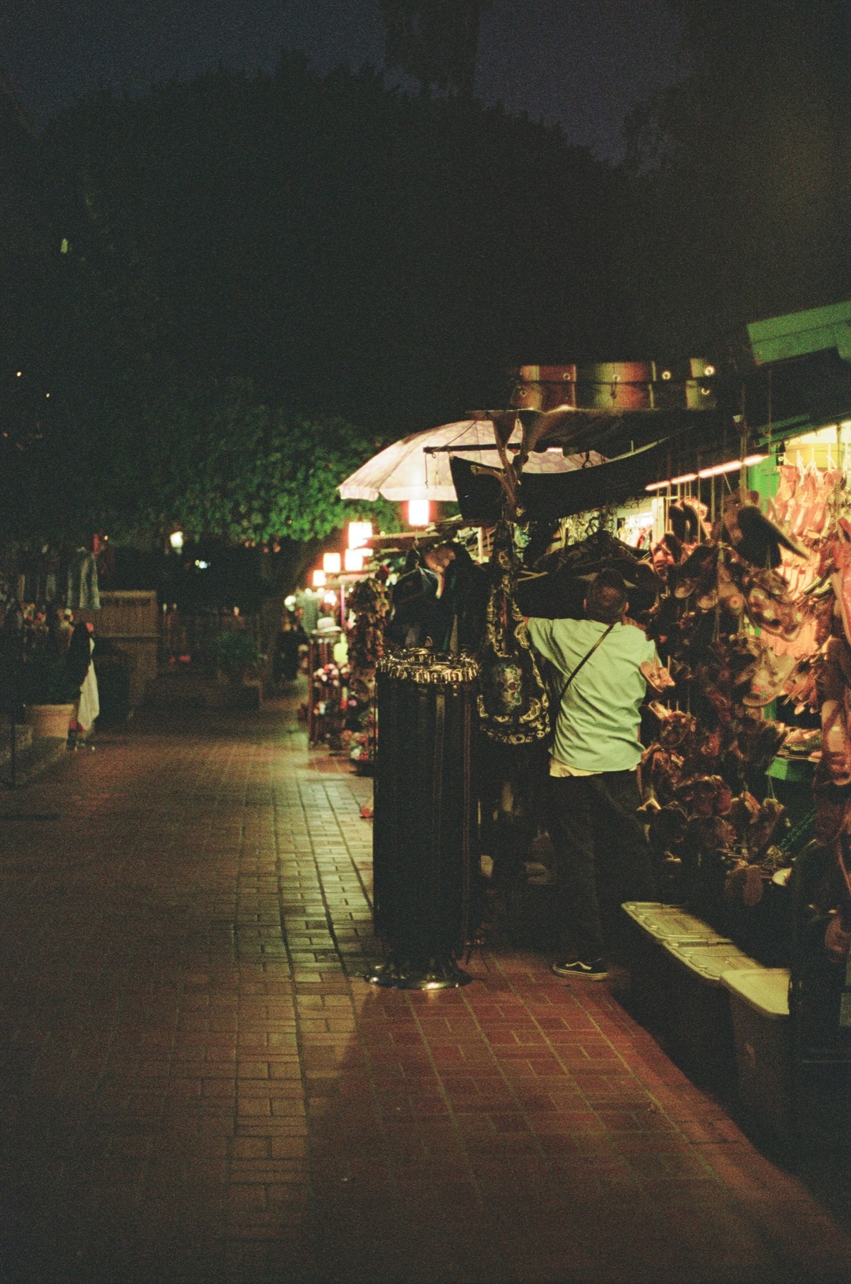 Film photograph on Kodak Portra 800 by Marcy Facundo-Moya