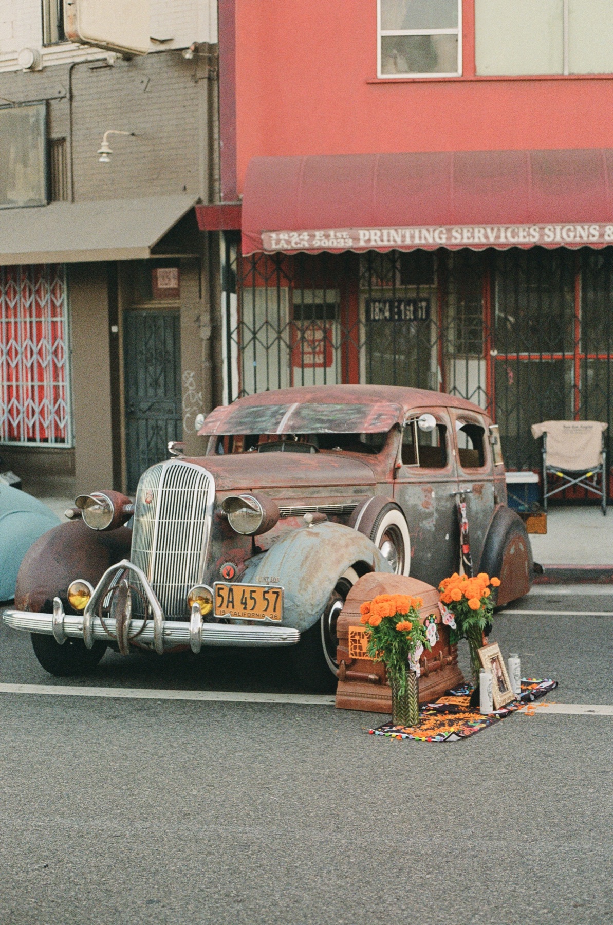 Film photograph on Kodak Portra 800 by Marcy Facundo-Moya