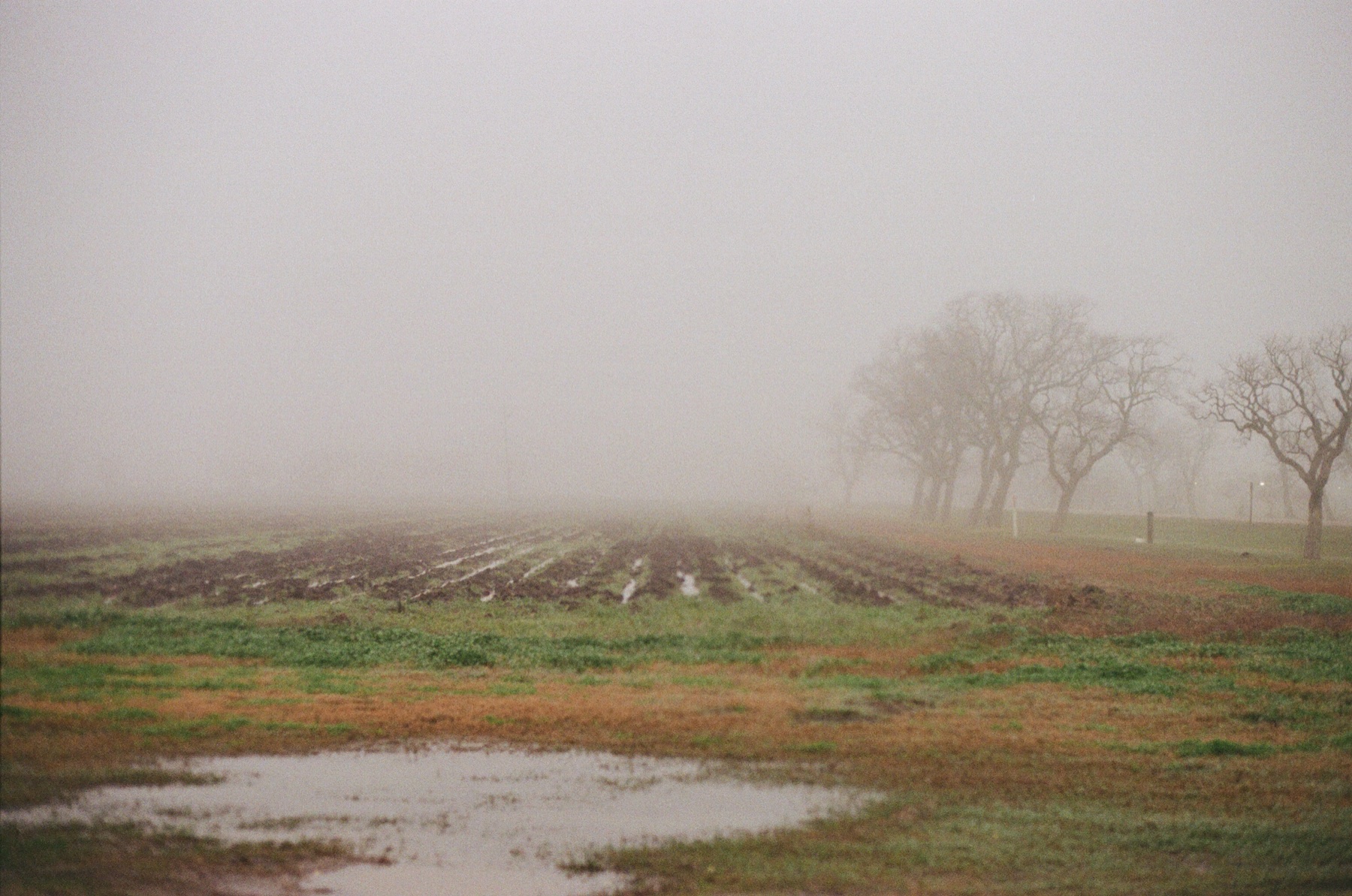 Film photograph on Fujifilm 200 by Marcy Facundo-Moya