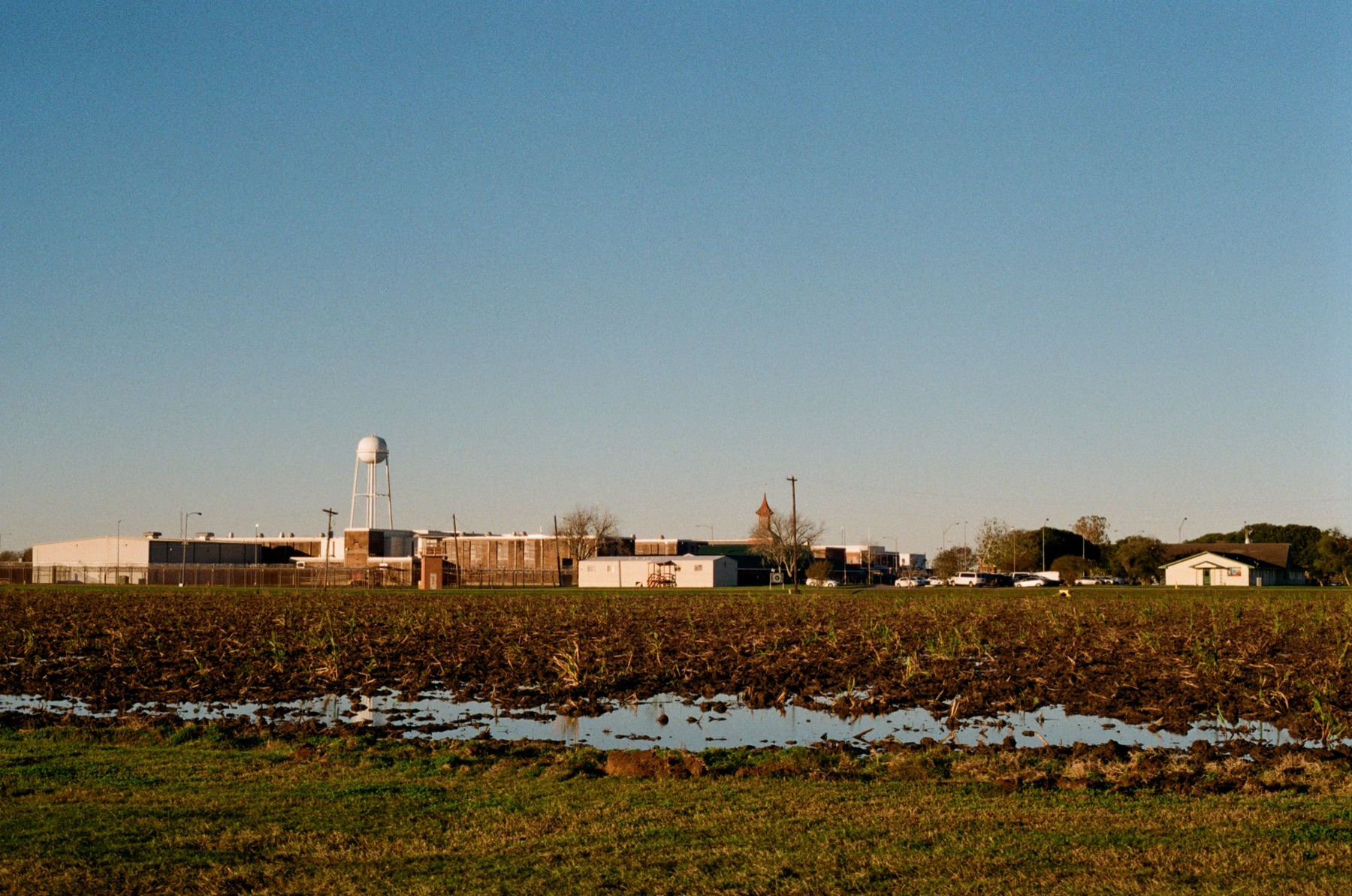 Film photograph on Kodak Gold 200 by Marcy Facundo-Moya