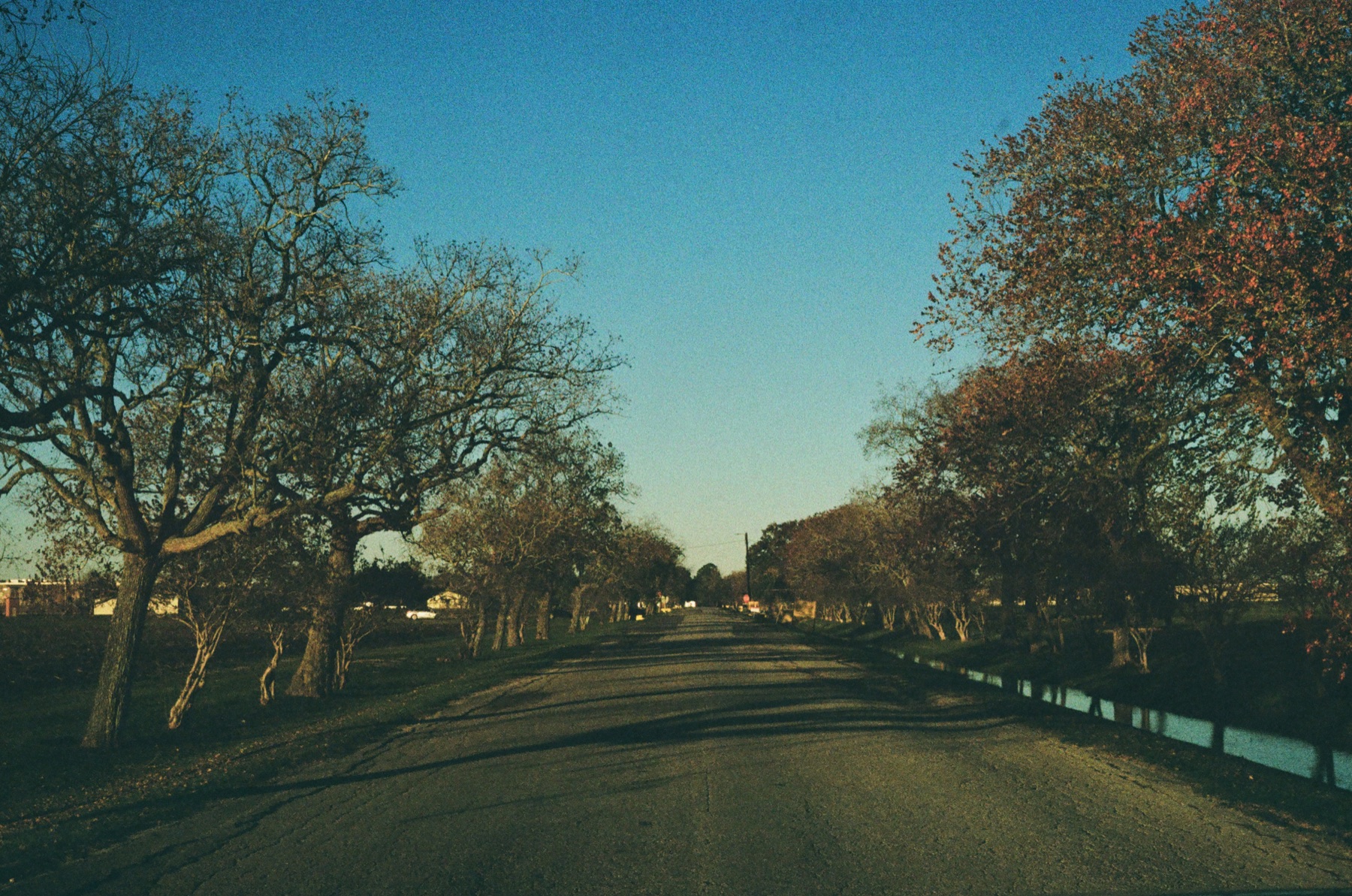 Film photograph on Kodak Gold 200 by Marcy Facundo-Moya