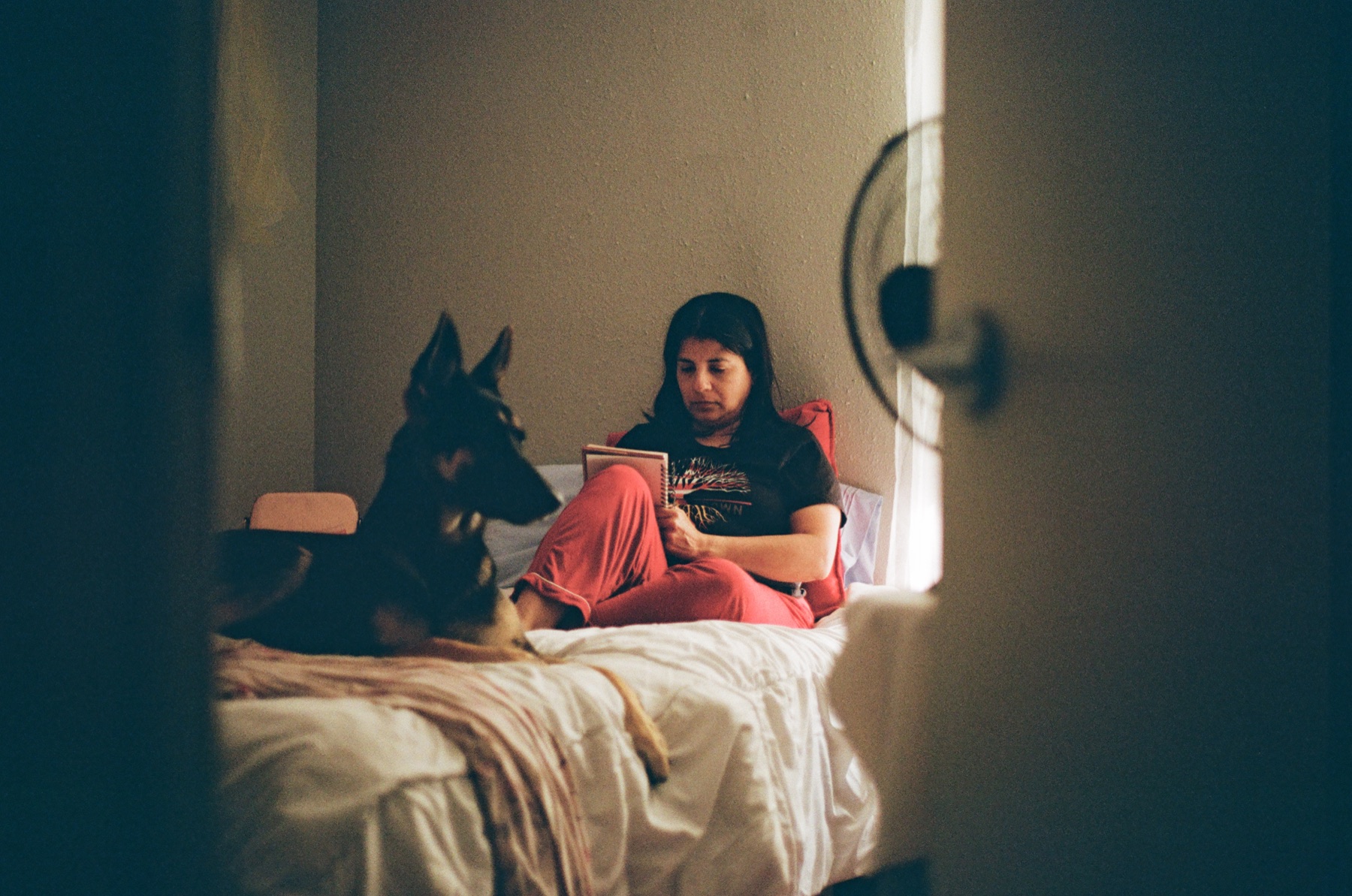Film photograph on Kodak Gold 200 by Marcy Facundo-Moya