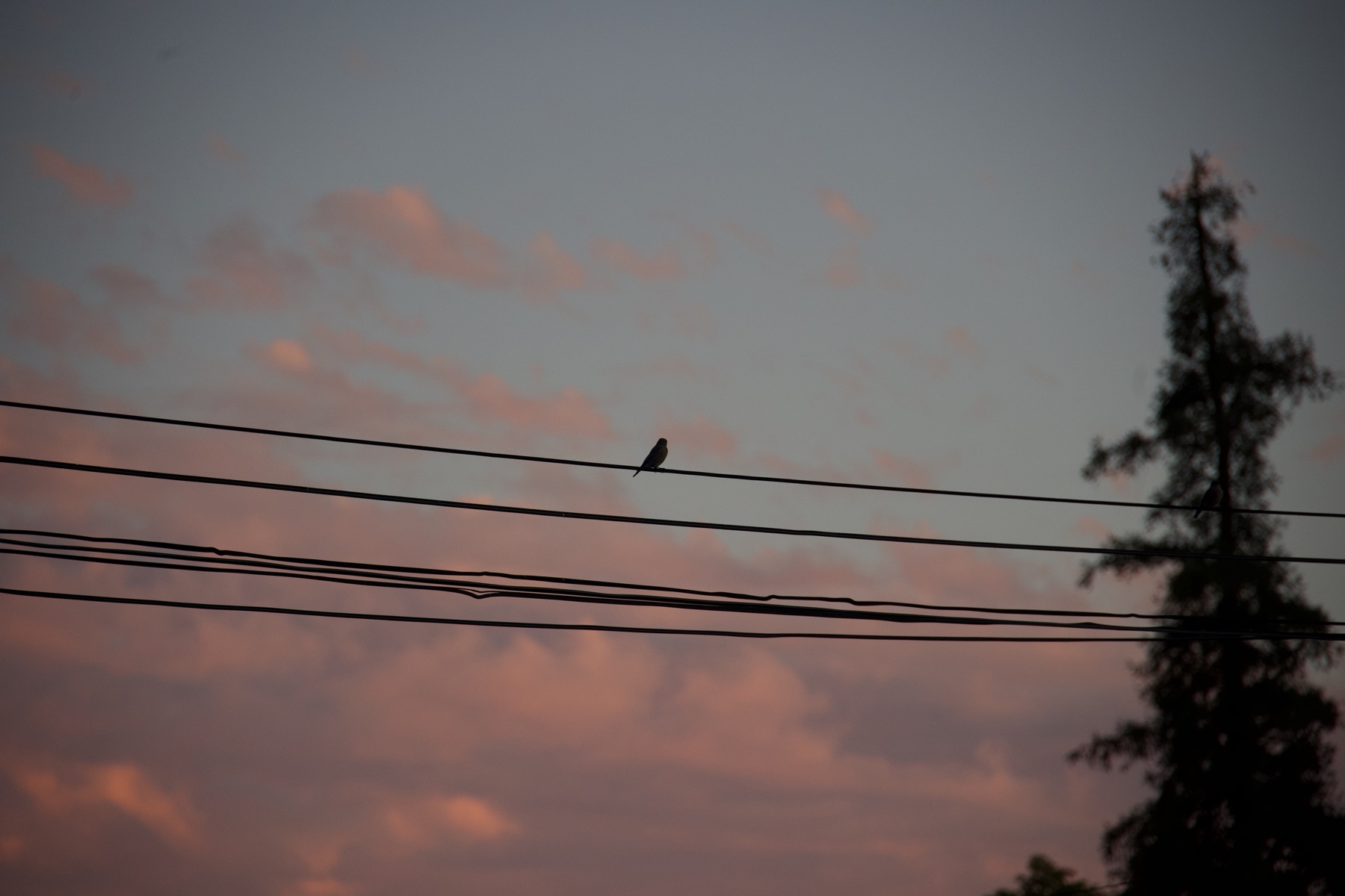 Moments Between Moments by Marcy Facundo-Moya